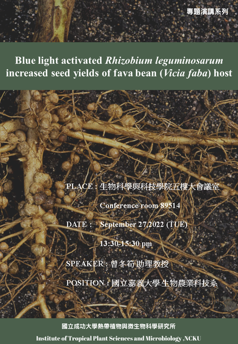 Blue light activated Rhizobium leguminosarum increased seed yields of fava bean (Vicia faba) host